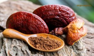 Гриб в естественной среде