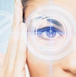 Зрительная система